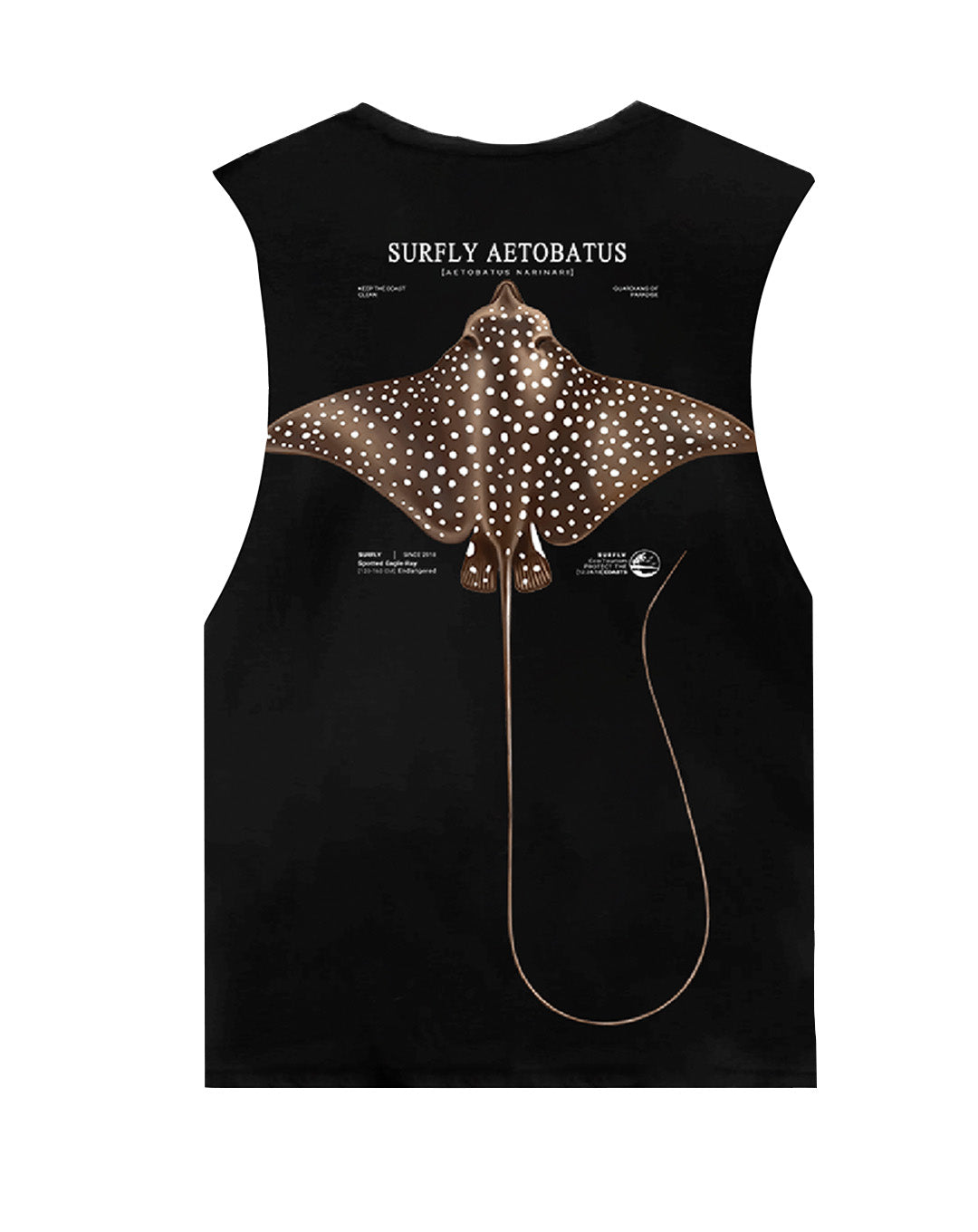 Esqueleto Oversize / Manta Raya