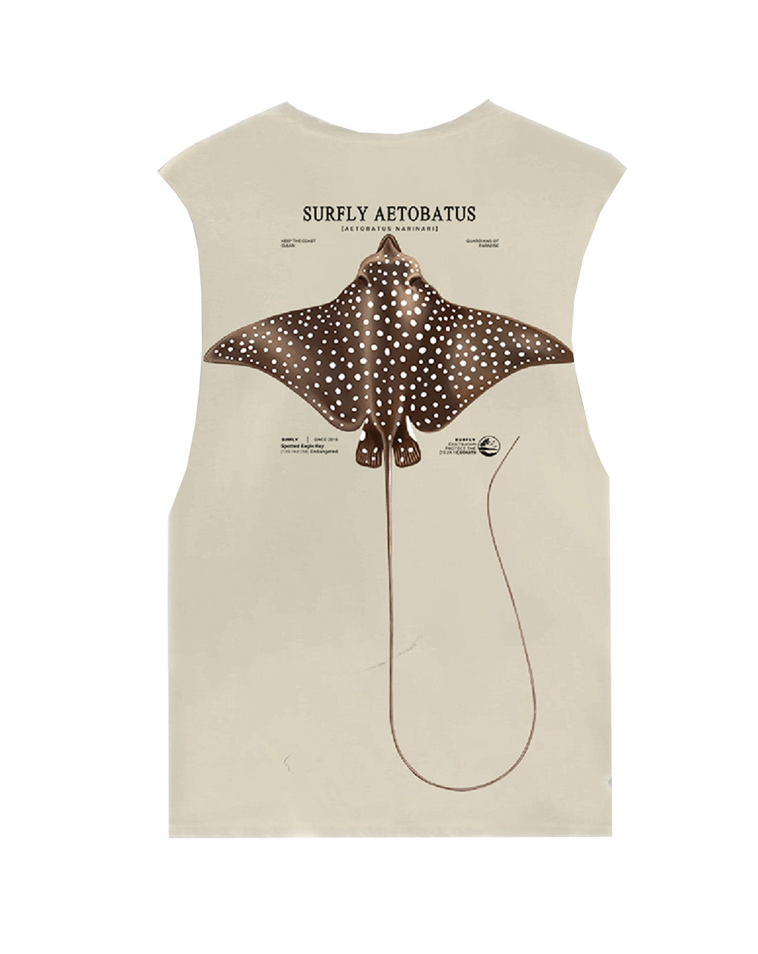 Esqueleto Oversize ( Mantarraya Aetobatus Narinari )