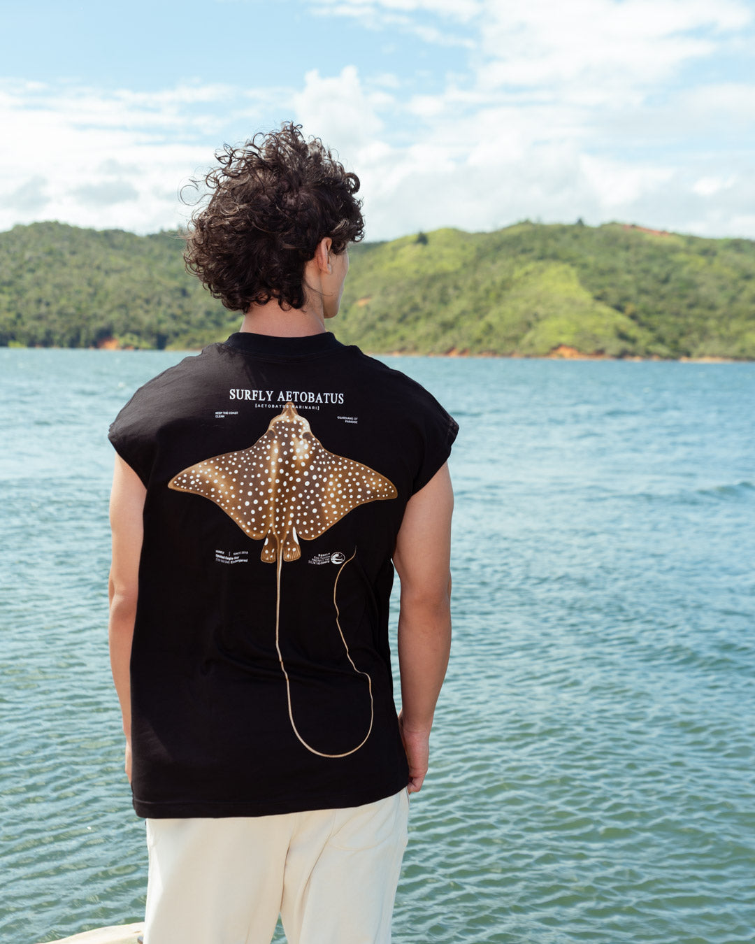 Esqueleto Oversize / Manta Raya