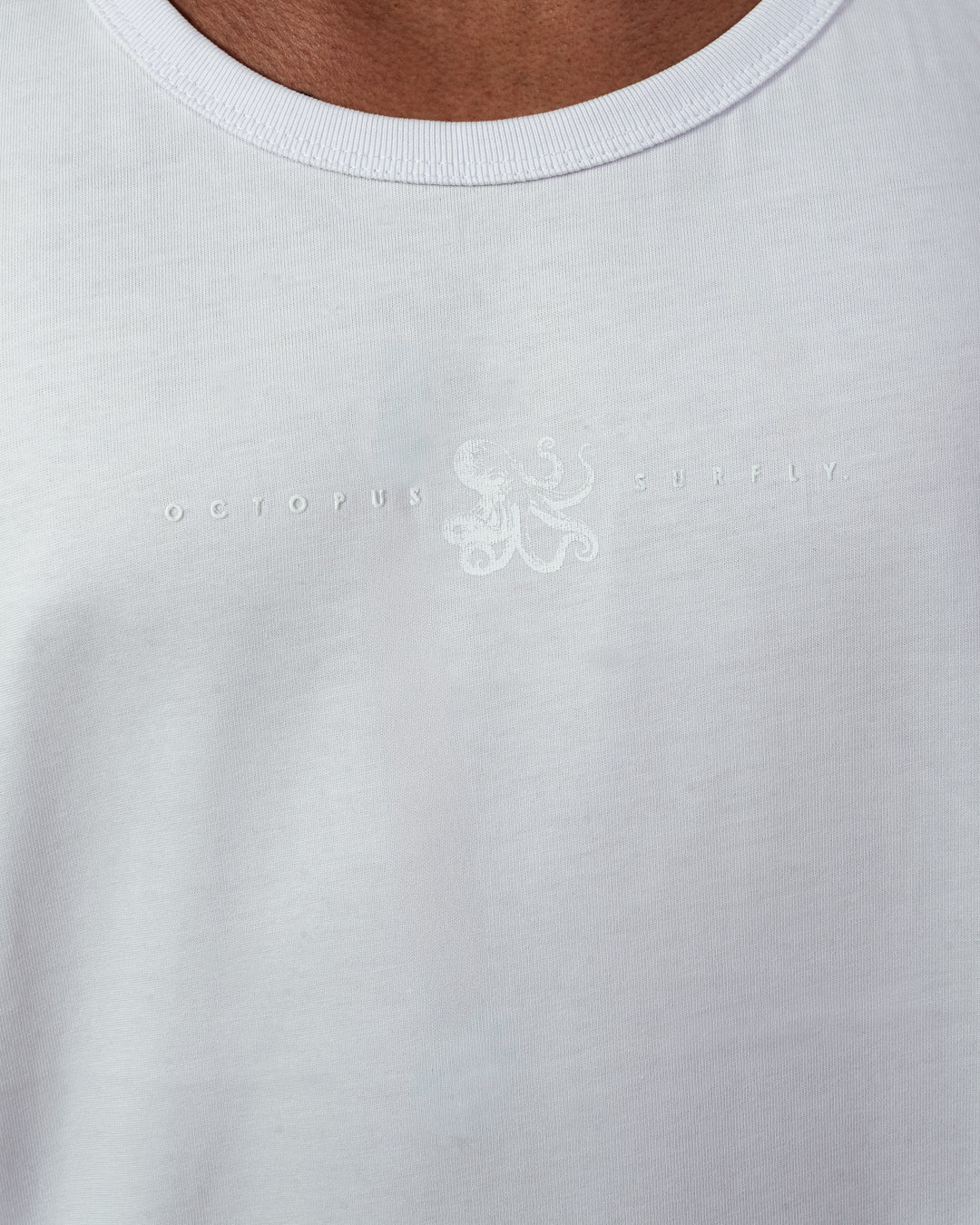 Esqueleto musculosa