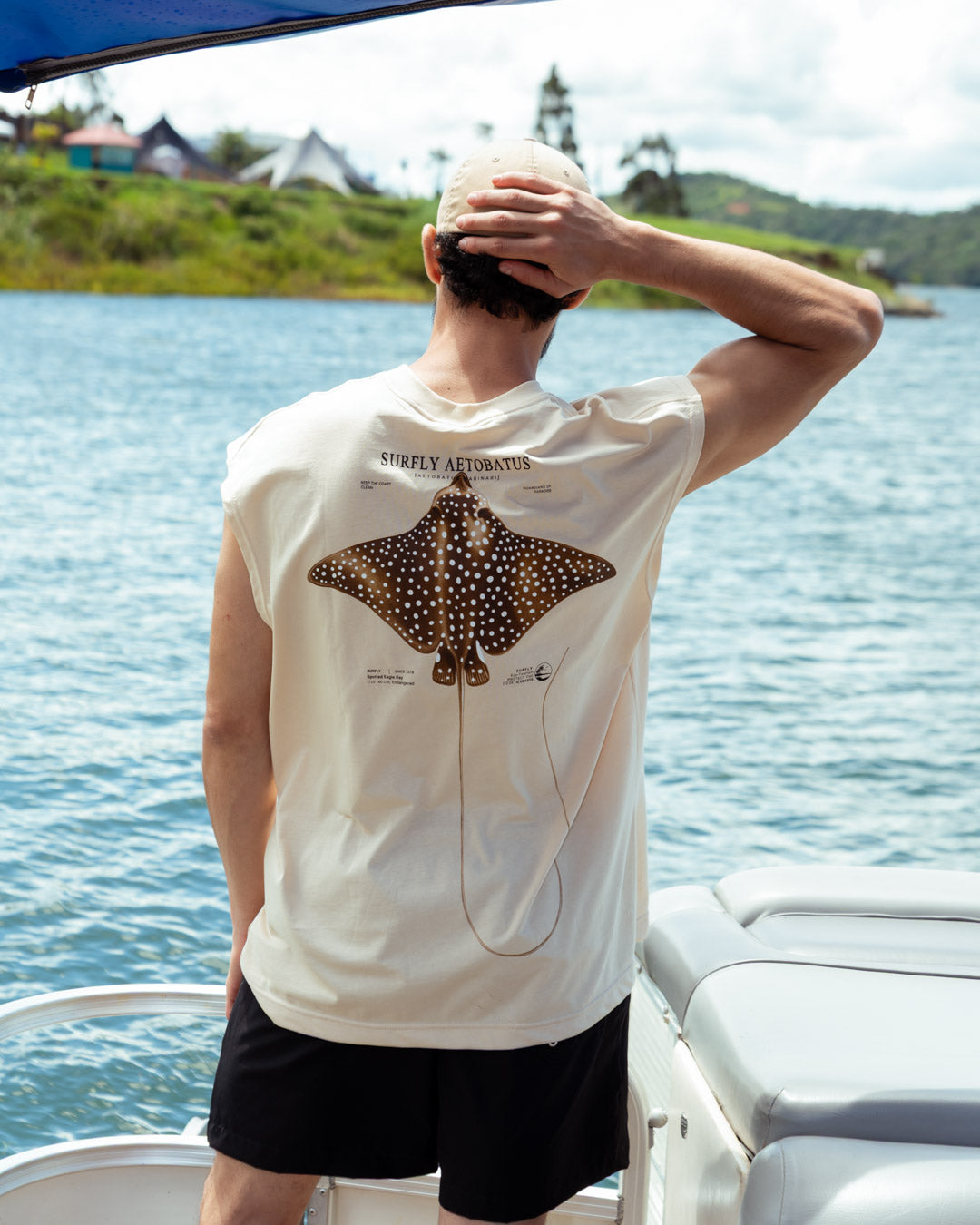 Esqueleto Oversize ( Mantarraya Aetobatus Narinari )