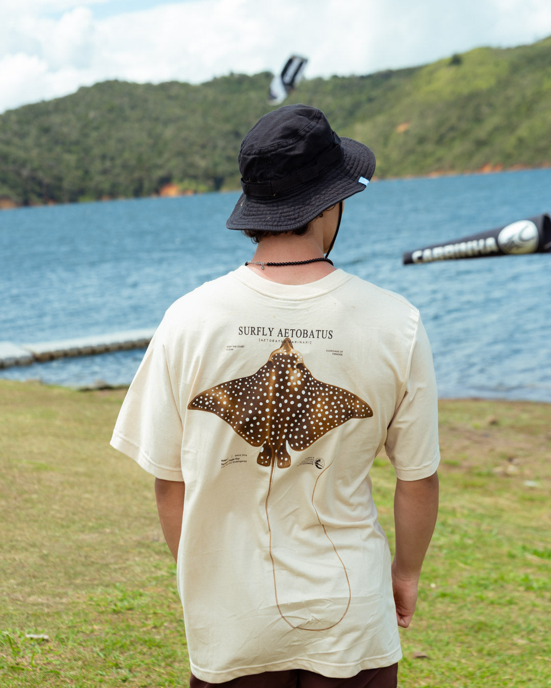 Camiseta Raya ( Mantarraya Aetobatus narinari )