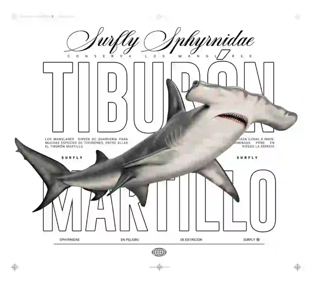 Camiseta Tiburon martillo - Imagen 3